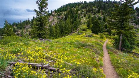 11 Best Hiking Trails in Boulder, Colorado