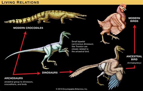 How Many Years Since The Dinosaurs Went Extinct: Unraveling Earths Ancient Mystery