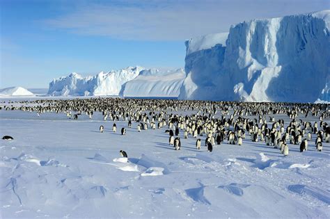 Climate change poses greatest threat to Antarctica – Australian ...