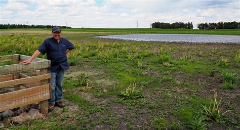 Wildlife and water benefit from restored wetland