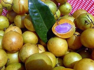 SELAMAT DATANG: Buah Star, staq, gondang