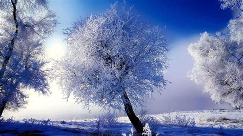 Winter Wallpapers Scenes - Wallpaper Cave