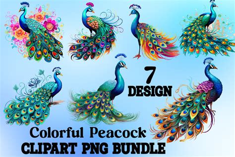 Colorful Peacock Clipart Graphic by Vintage · Creative Fabrica