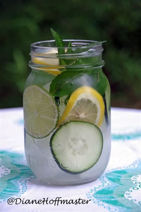 Lemon Lime Detox Water - Turning the Clock Back