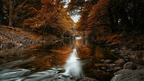 Fall In The River In Autumn Trees Forest 4K HD Nature Wallpapers | HD Wallpapers | ID #41588