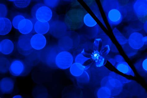 Blue Led Lights Free Stock Photo - Public Domain Pictures