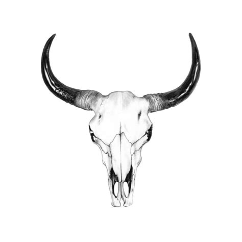 Bull Skull Drawing by John Gordon Art (2015, colored pencil) | Bull ...