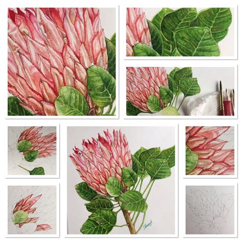 Doodlewash® - "Watercolor Botanical Painting Tutorial"