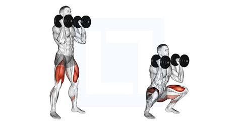 Dumbbell Front Squat - Guide, Benefits, and Form