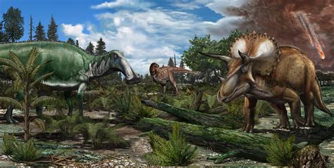 Dinosaurs were thriving before asteroid strike that wiped them out