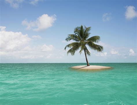 Lone Palm Tree On Small Island by John Lund