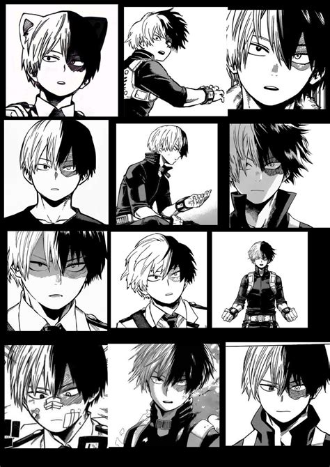 Shoto Todoroki manga pfps | Todoroki mangá, Manga, Hero costumes