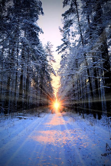 December Solstice ~ Sun Enters Capricorn 2015 | Lisa Michaels