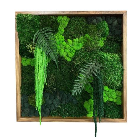 Square Forgotten Forest Moss Wall Art – MossArtInstallations