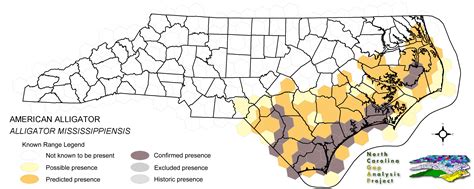 American Alligator Habitat Map