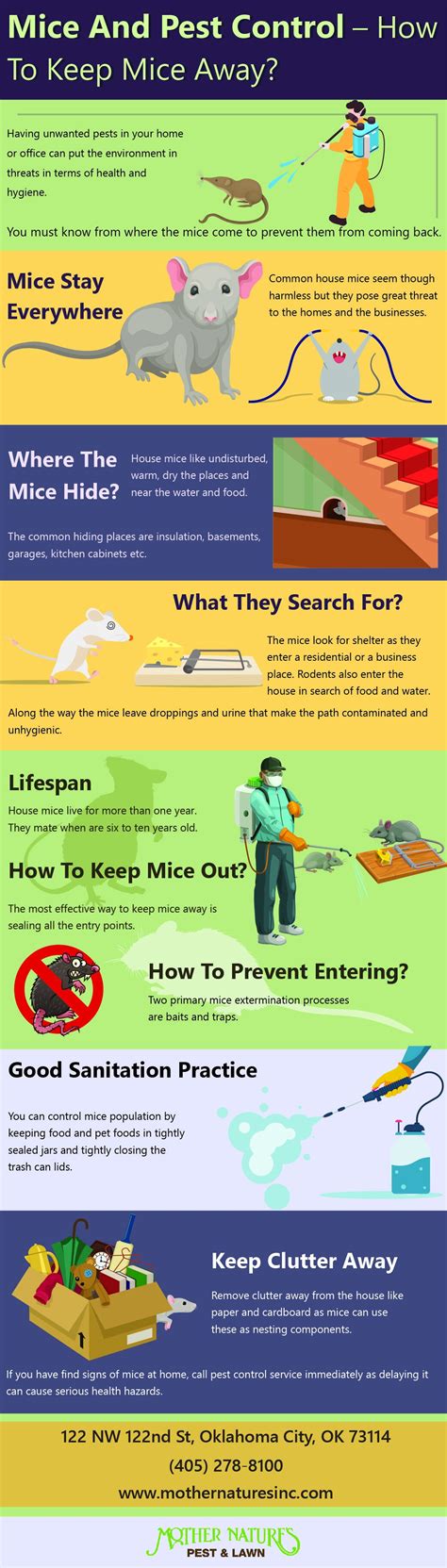 Mice and Pest Control- How to Keep Mice Away?