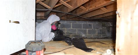 Crawl Space Mold Removal NJ | Professional South Jersey Mold Removal