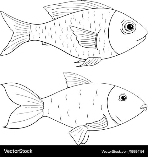 Fish Images Drawing - Infoupdate.org