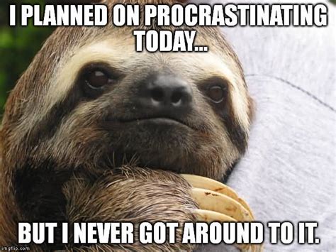 Funny Sloth Memes I planned on procrastinating today | QuotesBae