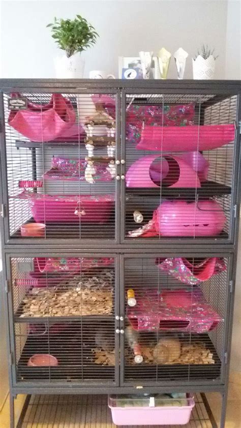 homemade rat cage ideas - Steadfast Podcast Bildergallerie