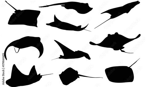 Manta ray Silhouette Vector Graphics Stock Vector | Adobe Stock