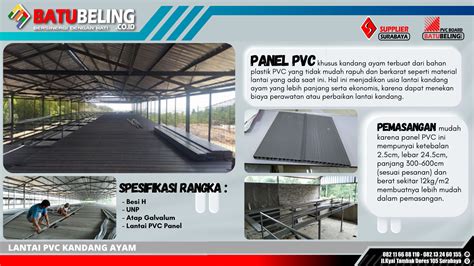 Lantai PVC Kandang Ayam - Batu Beling