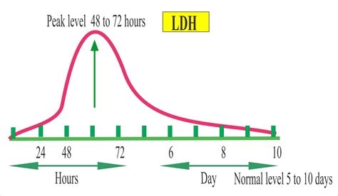 Why Is Ldh High In Pleural Fluid - Bios Pics