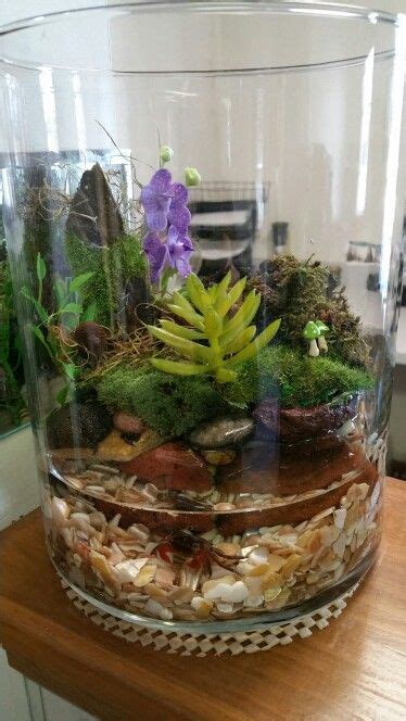 Red Claw Crab Terrarium I decided to add a small red clawed crab to my terrarium. He looks ...