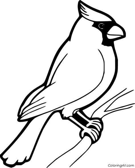 Printable Cardinal Coloring Page