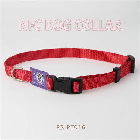 Buy NFC Dog Collar QR Code Pet Collars with Mini NFC Card