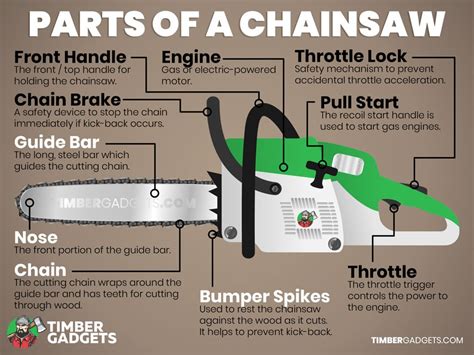 The Main Parts of a Chainsaw - Timber Gadgets