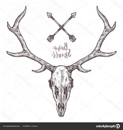 Elk Antler Vector at Vectorified.com | Collection of Elk Antler Vector ...