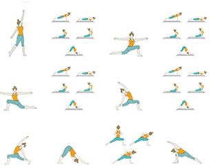 Vinyasa Yoga Sequences - Foundational Sequences for Yoga Teachers | Tummee.com