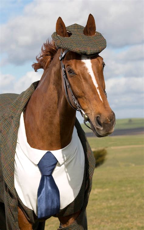 A Horse Wore A Suit Today | GQ