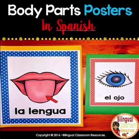 Las partes del cuerpo | Pósters | Body Parts Posters in Spanish