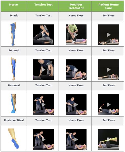 4 Simple Nerve Flossing Exercises to Help Resolve Back and Leg Pain ...