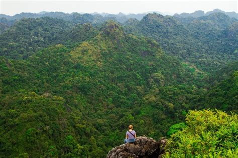 12 Best Vietnam National Parks: Trekking, Homestays & More