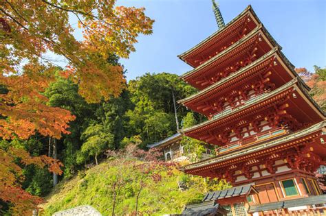 Top 5 Must-see popular event guide for Kanagawa prefecture, December 2017 (w/Photos)