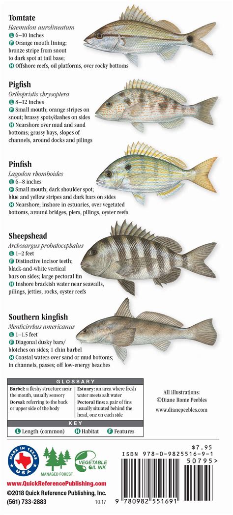 Saltwater Fish Species Identification Chart