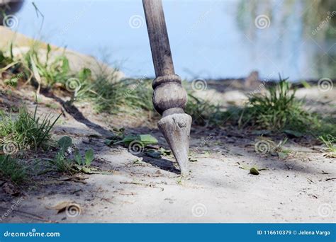 Wooden spear stock image. Image of river, ground, grass - 116610379