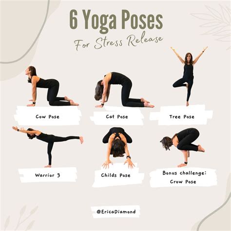 6 Yoga Poses for Stress Release - Erica Diamond