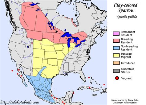 Clay-colored Sparrow - Species Range Map