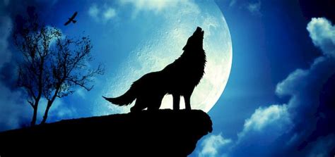 Wolf Howling Ringtone | Free Ringtone Downloads | Scary Ringtones