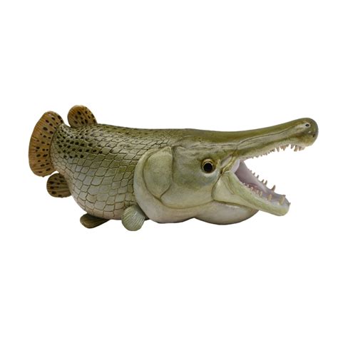 Animal Planet Alligator Gar Model – Lana Time Shop