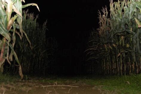 Haunted Maze - Heartland Country Corn Maze