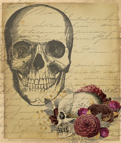 Vintage Skulls Illustration Free Stock Photo - Public Domain Pictures