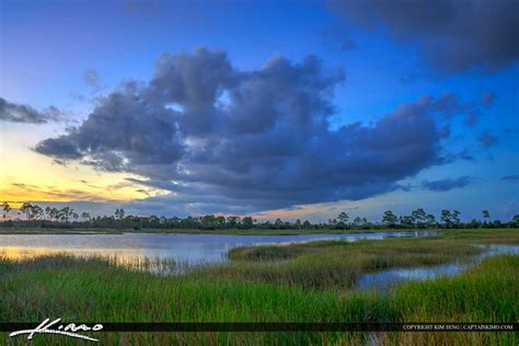 Florida Wetland Landscape Pine Glades Natural Area Sunset | Royal Stock Photo