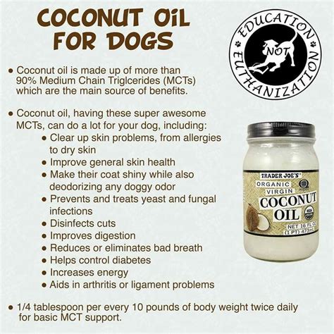 Natural Relief for Furry Friends: Top 10 Supplements to Soothe Itchy Skin in Dogs