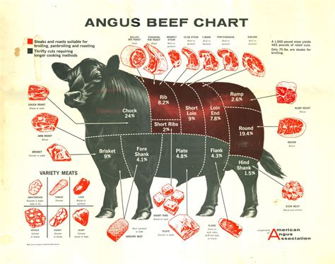 Printable Beef Cuts Of Meat Butcher Chart