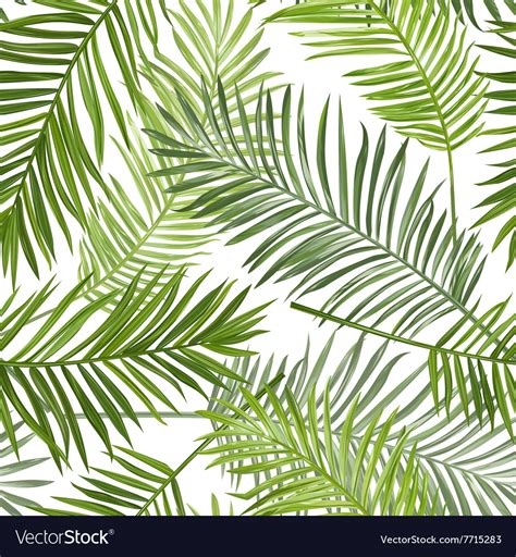 Seamless tropical palm leaves background Vector Image